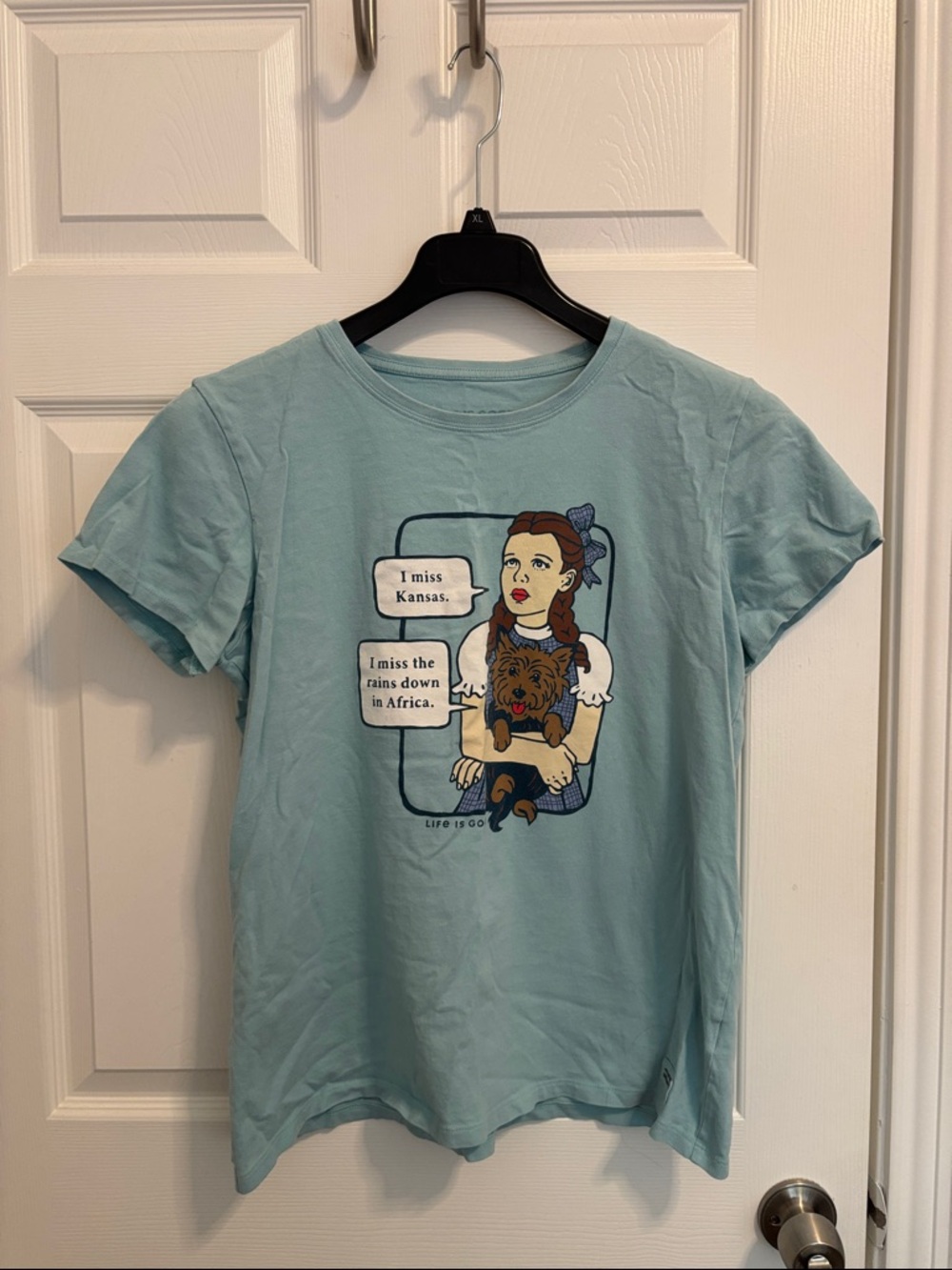 Life Is Good Dorothy Graphic Tee — Light Aqua with Brown Accents wt58